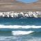 LANZAROTE PRIVATE OR SMALL GROUP SURF  PACK