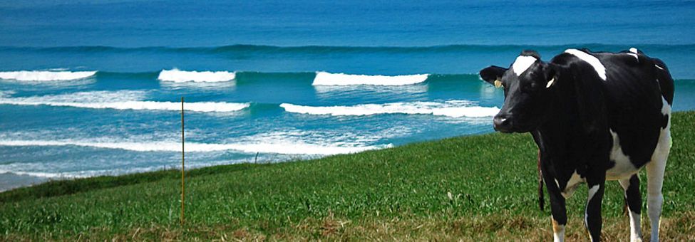 SURFING IN OYAMBRE