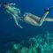 Surf Camp Maldives Central Atolls