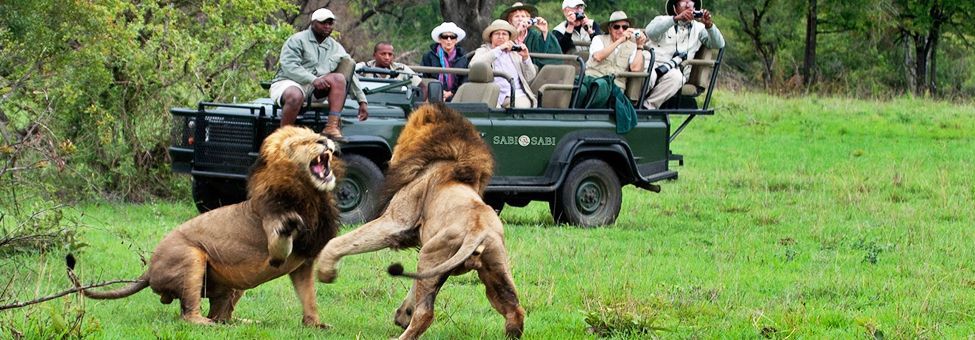 SAFARI IN SOUTH AFRICA