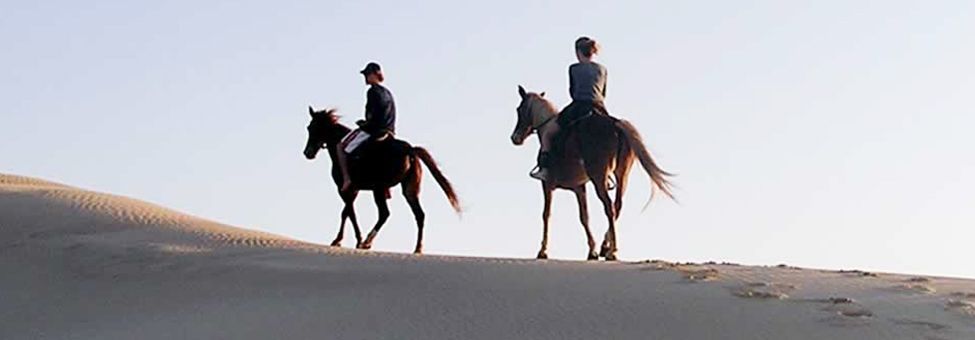 HORSE RIDING IN JEFFREY'S BAY