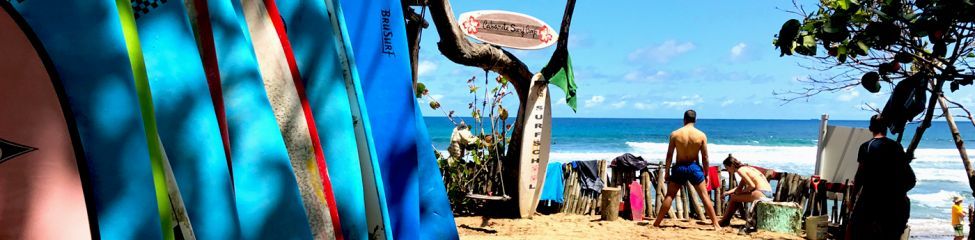 Cabarete Surf Camp Group Departure