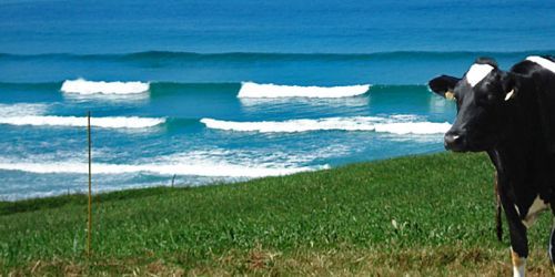 SURFING IN OYAMBRE