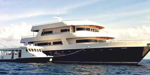 DREAM CATCHER 2 - LUXURY BOAT